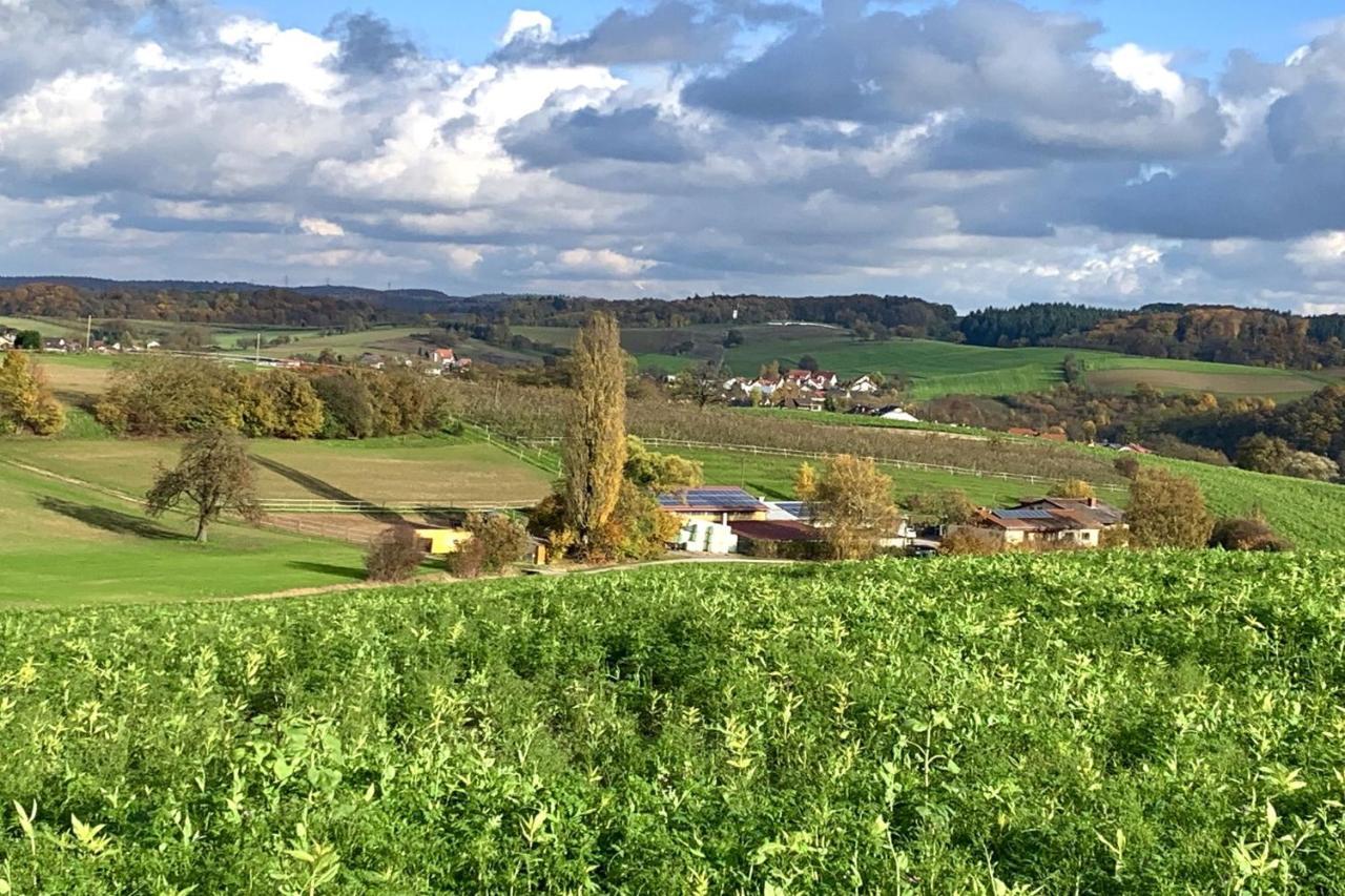 Pension Am Hohberghof Dielheim المظهر الخارجي الصورة