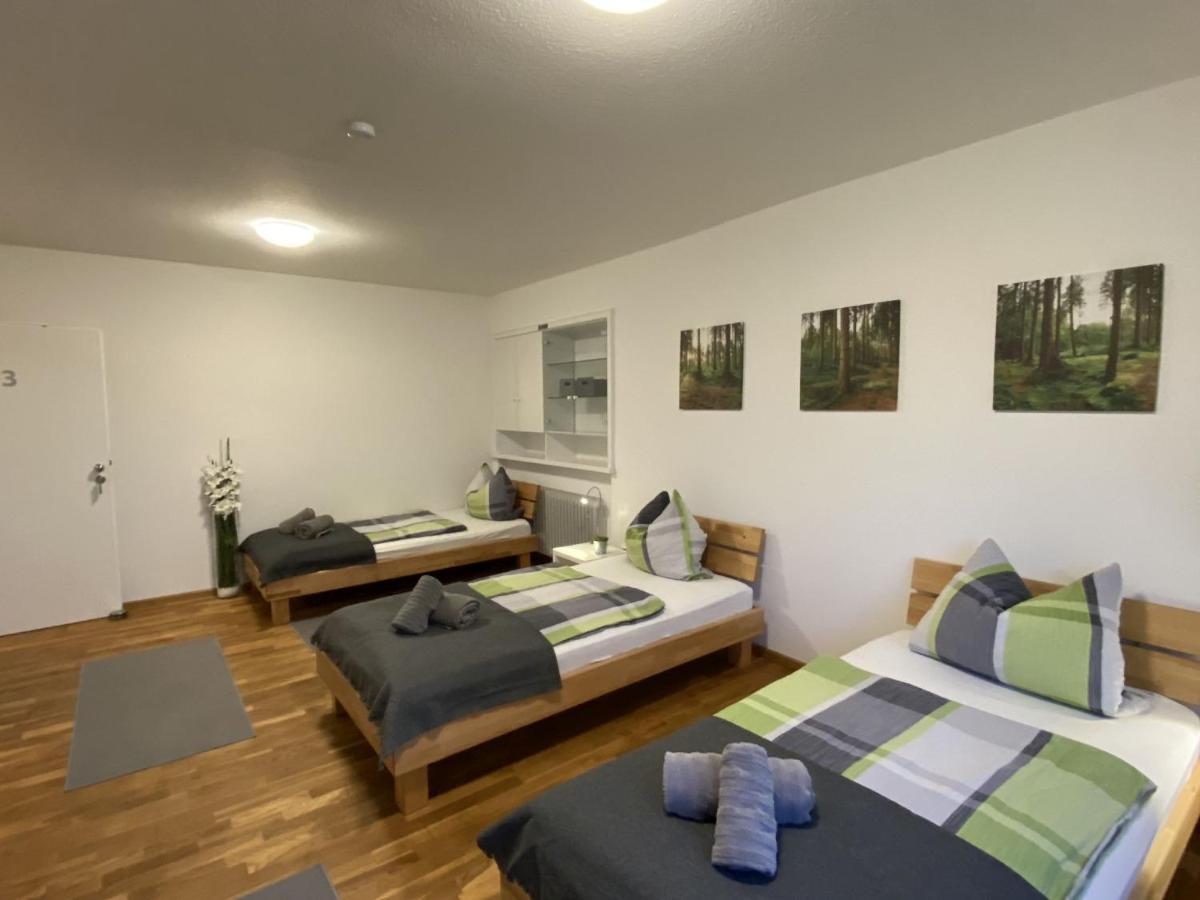 Pension Am Hohberghof Dielheim المظهر الخارجي الصورة