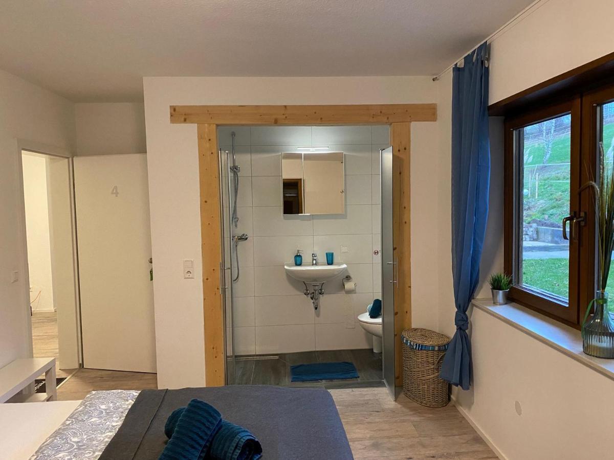 Pension Am Hohberghof Dielheim المظهر الخارجي الصورة