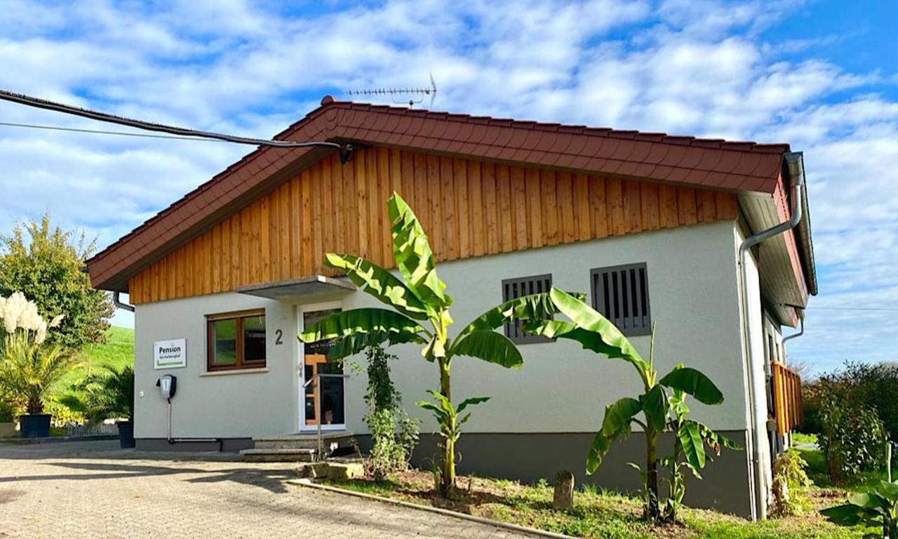 Pension Am Hohberghof Dielheim المظهر الخارجي الصورة